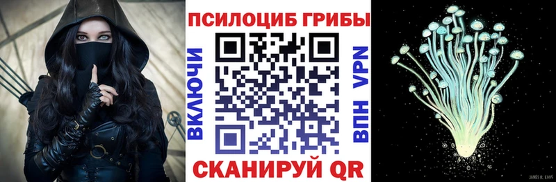 Галлюциногенные грибы ЛСД  где купить наркотик  Новая Усмань 